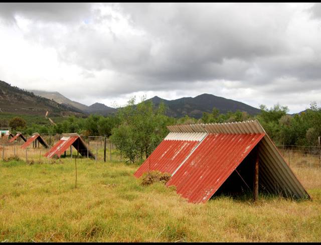 69HA FARM FOR SALE IN BOT RIVER